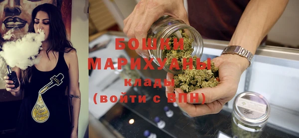 прущие грибы Кодинск