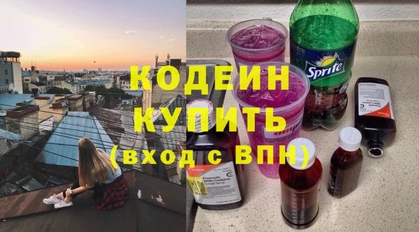 прущие грибы Кодинск
