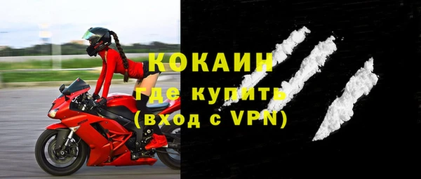 прущие грибы Кодинск