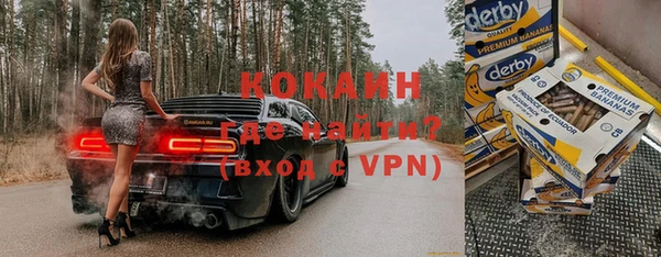 прущие грибы Кодинск