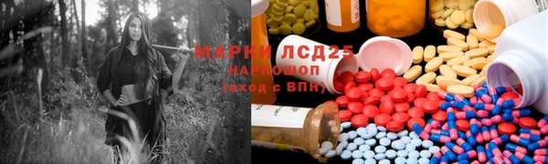 прущие грибы Кодинск