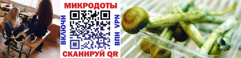 Купить  Междуреченск  Галлюциногенные грибы Magic Shrooms 